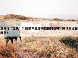 覃海洋“出轨”？婚前不应该叫感情纠葛吗？所以重点在哪里？