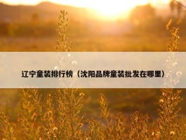 辽宁童装排行榜（沈阳品牌童装批发在哪里）