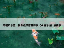 黑曜石总监：团队成员愿意开发《永恒之柱》战棋版