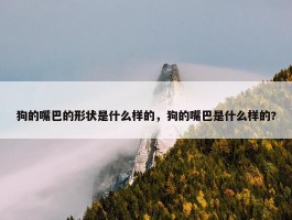 狗的嘴巴的形状是什么样的，狗的嘴巴是什么样的?