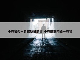 十只狼和一只藏獒谁厉害 十只藏獒围攻一只狼