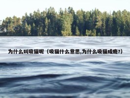 为什么叫吸猫呢（吸猫什么意思,为什么吸猫成瘾?）