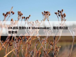 DK战队告别S14 Showmaker：错在我们这些老将