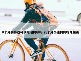 8个月的泰迪可以吃泡狗粮吗 八个月泰迪狗狗吃几顿饭