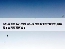 茶杯犬是怎么产生的 茶杯犬是怎么来的?看完后,网友我不会再买茶杯犬了