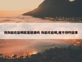 狗狗能吃能喝就是健康吗 狗能吃能喝,瘦不停咋回事