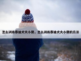 怎么训练泰迪犬大小便，怎么训练泰迪犬大小便的方法