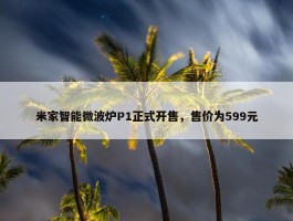 米家智能微波炉P1正式开售，售价为599元