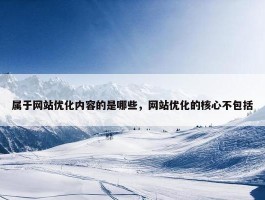 属于网站优化内容的是哪些，网站优化的核心不包括