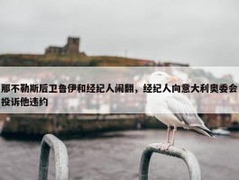 那不勒斯后卫鲁伊和经纪人闹翻，经纪人向意大利奥委会投诉他违约