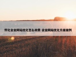 怀化企业网站优化怎么收费 企业网站优化方案案例