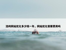 池州网站优化多少钱一年，网站优化需要费用吗