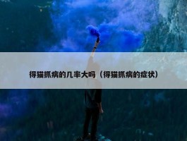 得猫抓病的几率大吗（得猫抓病的症状）