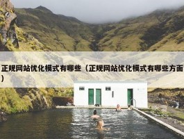 正规网站优化模式有哪些（正规网站优化模式有哪些方面）