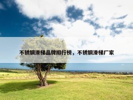 不锈钢滑梯品牌排行榜，不锈钢滑梯厂家