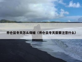 养仓鼠冬天怎么保暖（养仓鼠冬天需要注意什么）