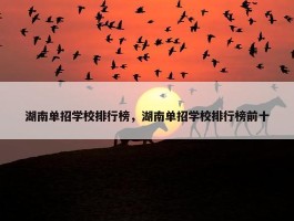 湖南单招学校排行榜，湖南单招学校排行榜前十