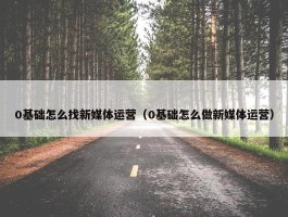 0基础怎么找新媒体运营（0基础怎么做新媒体运营）