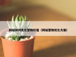 网站如何优化营销价值（网站营销优化方案）