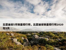 比亚迪宋5月销量排行榜，比亚迪宋销量排行榜2020年9月