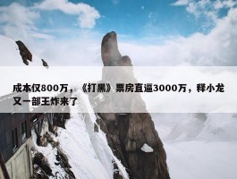 成本仅800万，《打黑》票房直逼3000万，释小龙又一部王炸来了