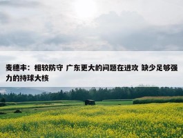 麦穗丰：相较防守 广东更大的问题在进攻 缺少足够强力的持球大核