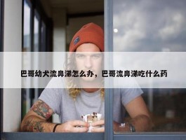 巴哥幼犬流鼻涕怎么办，巴哥流鼻涕吃什么药