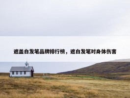 遮盖白发笔品牌排行榜，遮白发笔对身体伤害