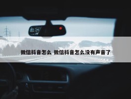 微信抖音怎么 微信抖音怎么没有声音了