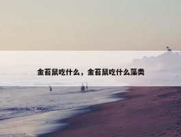 金苔鼠吃什么，金苔鼠吃什么藻类