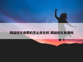 网站优化收费的怎么优化的 网站优化有用吗