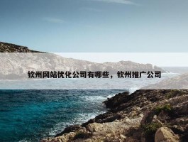 钦州网站优化公司有哪些，钦州推广公司