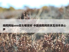 南陵网站seo优化哪家好 中国南陵网政民互动市民心声