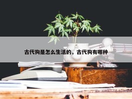 古代狗是怎么生活的，古代狗有哪种