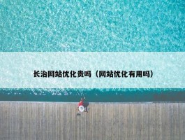 长治网站优化贵吗（网站优化有用吗）