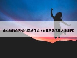 企业如何自己优化网站引流（企业网站优化方案案例）