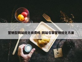 营销型网站优化收费吗 网站引擎营销优化方案