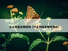 什么狗适合做肉狗（什么狗适合做肉狗吃）