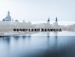 黄雀鸟喂什么食更好 黄雀鸟爱吃什么