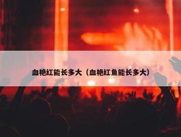 血艳红能长多大（血艳红鱼能长多大）