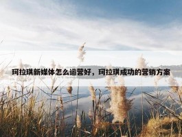 珂拉琪新媒体怎么运营好，珂拉琪成功的营销方案