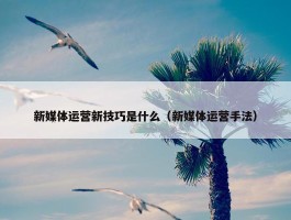 新媒体运营新技巧是什么（新媒体运营手法）