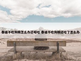 泰迪不吃狗粮怎么办还呕吐 泰迪不吃狗粮还吐了怎么办