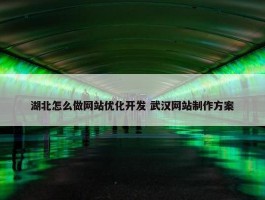 湖北怎么做网站优化开发 武汉网站制作方案