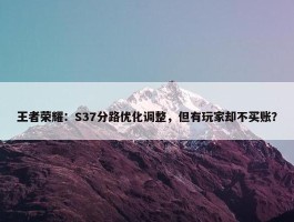 王者荣耀：S37分路优化调整，但有玩家却不买账？