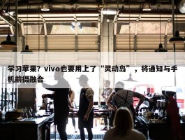 学习苹果？vivo也要用上了“灵动岛”，将通知与手机前摄融合