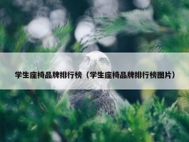 学生座椅品牌排行榜（学生座椅品牌排行榜图片）