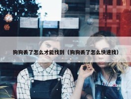 狗狗丢了怎么才能找到（狗狗丢了怎么快速找）