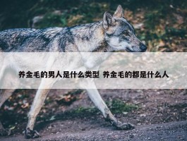 养金毛的男人是什么类型 养金毛的都是什么人