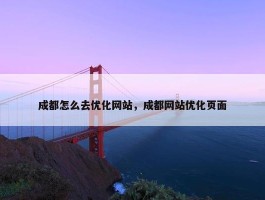 成都怎么去优化网站，成都网站优化页面